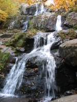 SNP Waterfall